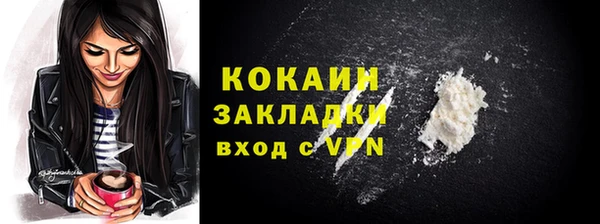 стаф Алзамай