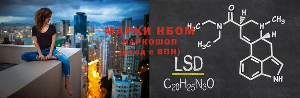 стаф Алзамай