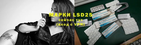 стаф Алзамай