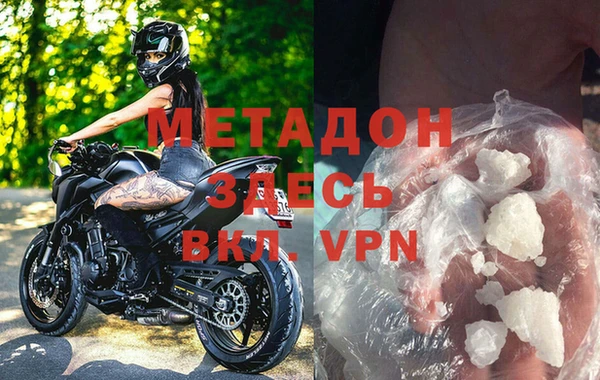 стаф Алзамай