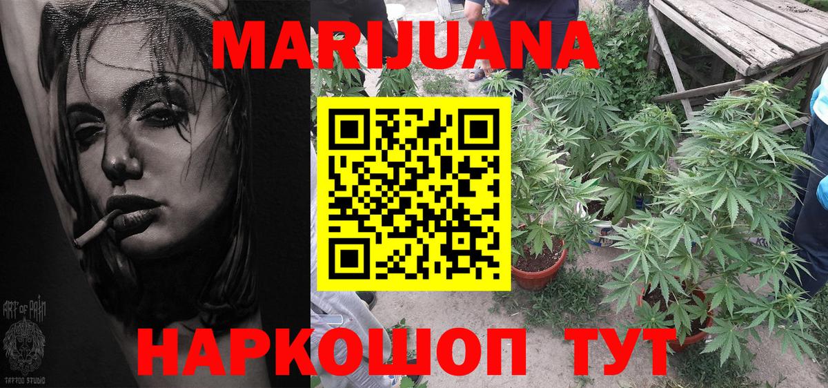 МАРИХУАНА семена  Вход с VPN  Новороссийск  Бошки Шишки AK-47  Каннабис MAZAR  Канабис гибрид 